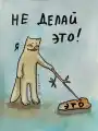 17839368974628.png