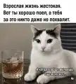 17839613780573.png