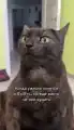 17840202038382.png