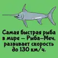 17842139995738.png