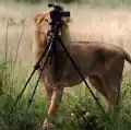 17842141380077.png