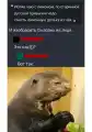 17843048491023.png