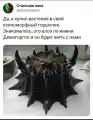 17843048491050.png