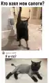 17844609828759.png