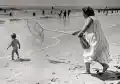 17844623655224.png