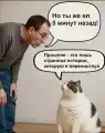 17845440277191.png