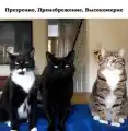 17846517334652.png