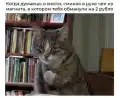 17846517334663.png