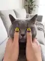 17846522300536.png