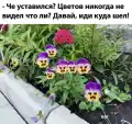 17846556673059.png