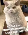 17847306718744.png