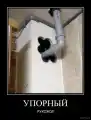 17847354487523.png