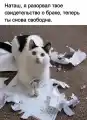 17851693773427.png