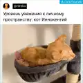 17851693773466.png