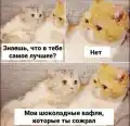 17852386666907.png