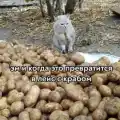 17852415743180.png