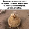 17852415743190.png