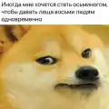 17852415743198.png