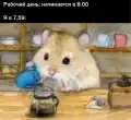 17852493209354.png