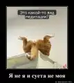 17852505535014.png