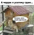17852505535036.png