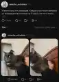 17852505535041.png