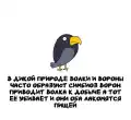17852506809645.png