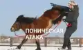 17852512244750.png