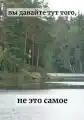 53486669929.png
