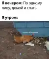54945431685.png