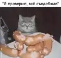 55089224210.png