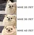 57523374969.png