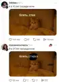 57583693934.png