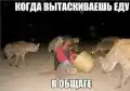 57595686753.png