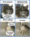 58403967767.png